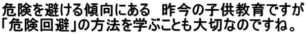 危険を避ける傾向にある　昨今の子供教育ですが 「危険回避」の方法を学ぶことも大切なのですね。 