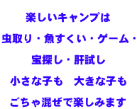  楽しいキャンプは  虫取り・魚すくい・ゲーム・  宝探し・肝試し  小さな子も　大きな子も  ごちゃ混ぜで楽しみます