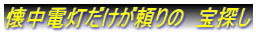 懐中電灯だけが頼りの　宝探し